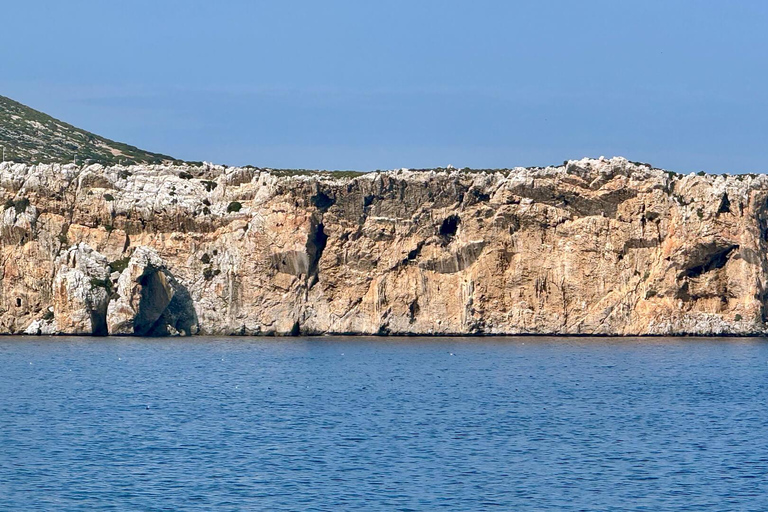 Vivez l&#039;expérience de la plongée au Maroc Fun Dives