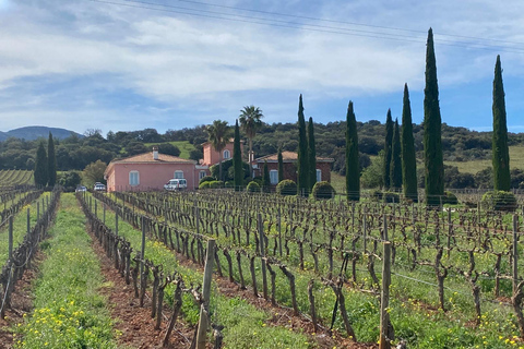 Ronda, Málaga: Winery Tour with Wine Tasting and Tapas