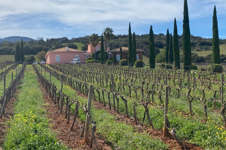 Ronda, Málaga: Winery Tour with Wine Tasting and Tapas