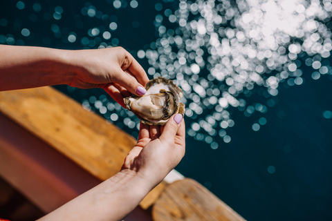 من دوبروفنيك: مزرعة محار مالي ستون وتجربة القارب