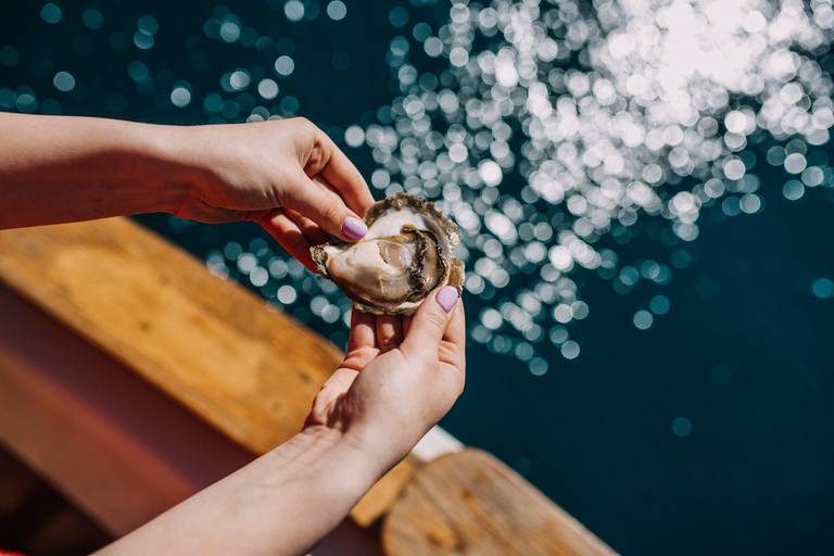 من دوبروفنيك: مزرعة محار مالي ستون وتجربة القارب