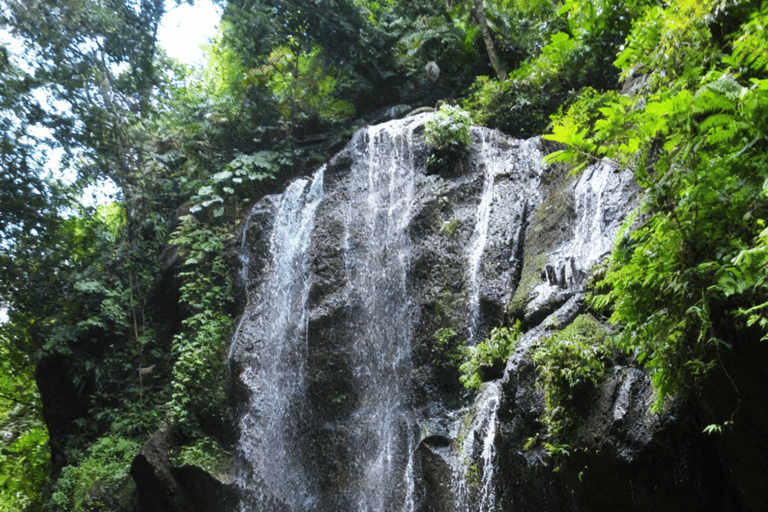 Bali: Ultimate Waterfall Adventure Journey