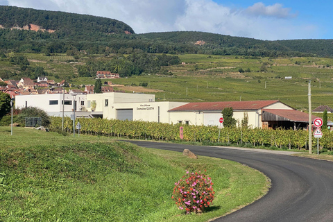 Dare to Alsace Wine with a Feminine Touch