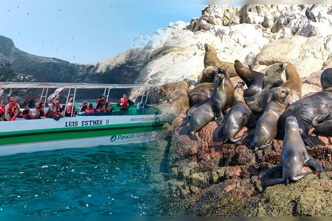 Paracas & Ica: 2-Day Tour with Huacachina and Camel Ride