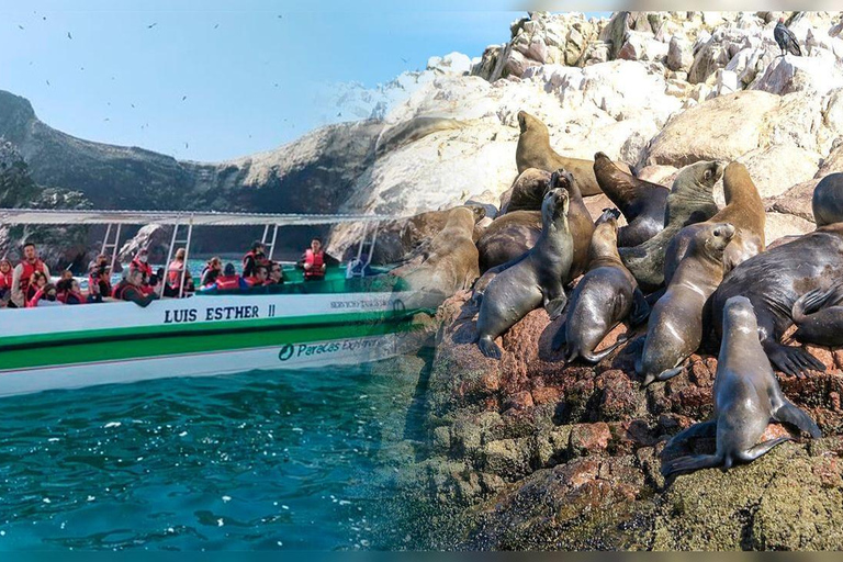 Paracas & Ica: 2-Day Tour with Huacachina and Camel Ride