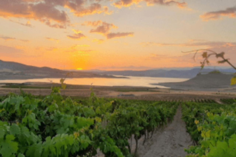 Ankara: Kavaklıdere Winery Tour and Wine Tasting Shared group Kavaklıdere Winery Tour and Wine Tasting