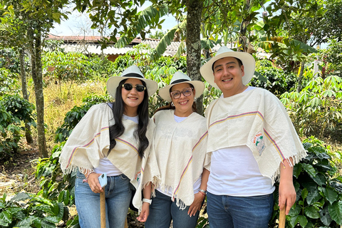 Coffee and Exotic Fruit Tour from Medellín with Lunch Coffee and Exotic Fruit Tour from Medellín with Lunch.