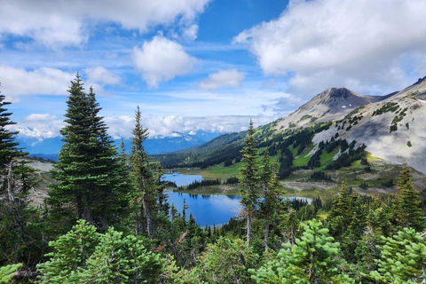 Garibaldi Park/ Panorama Ridge/ Dagsutflykt med vandring