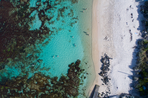 Depuis Perth : Vol panoramique des RottnestAu départ de Perth : Vol panoramique Rottnest