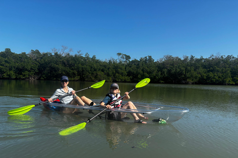 Bonita Springs Clear Kayak Tour with Dolphins & Manatees Crescent Tandem Kayak