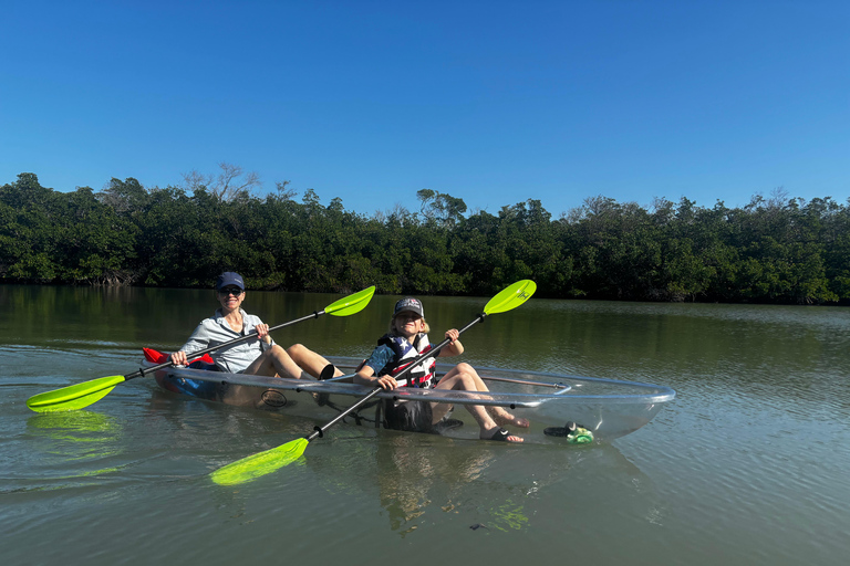 Bonita Springs Clear Kayak Tour with Dolphins & Manatees Crescent Tandem Kayak