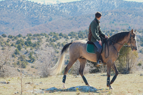 Goyave: Horseback Riding Tour with Mountains and Ocean Views