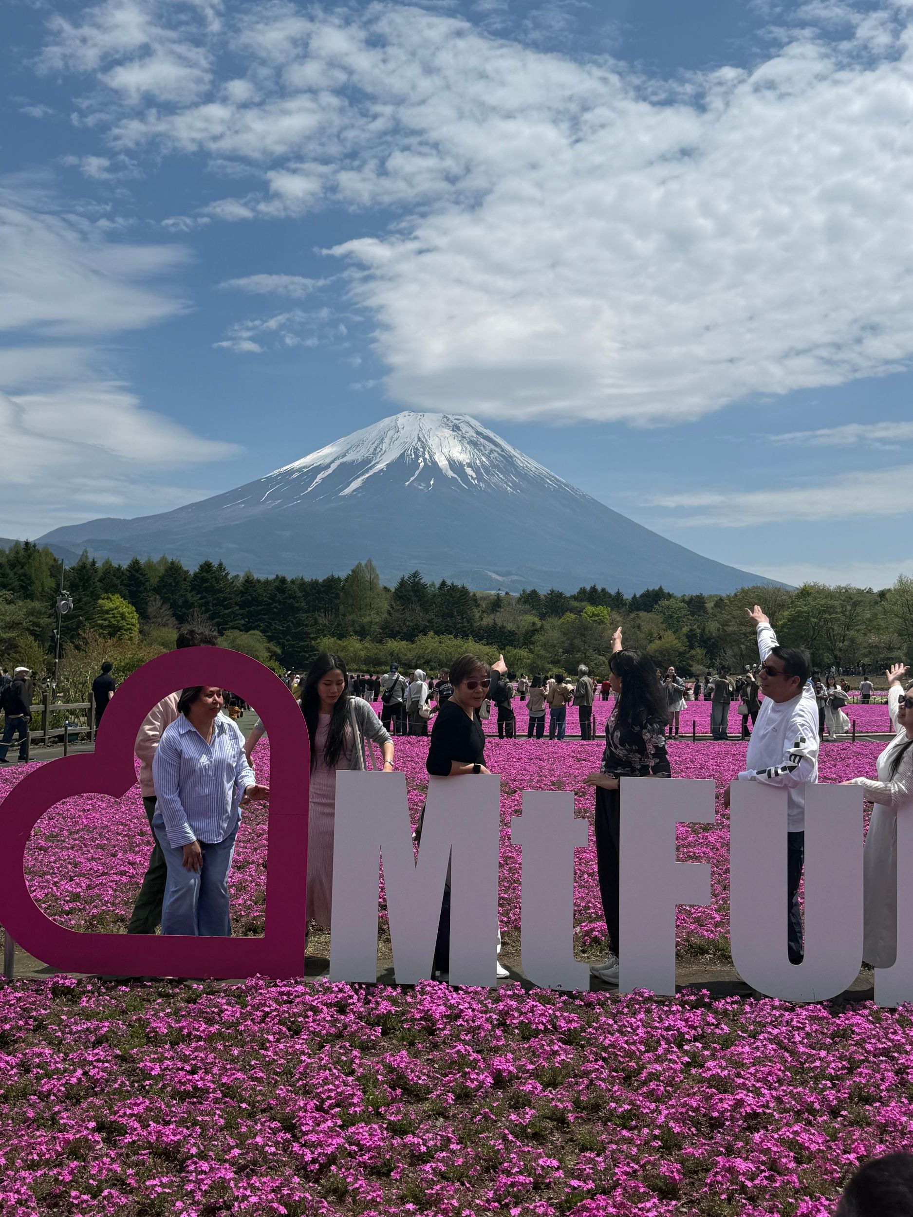 Exklusive private Tour nach Hakone oder zum Fuji mit Fahrer