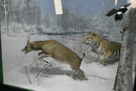 Milan: Natural History Museum Entry Ticket & Audio Guide