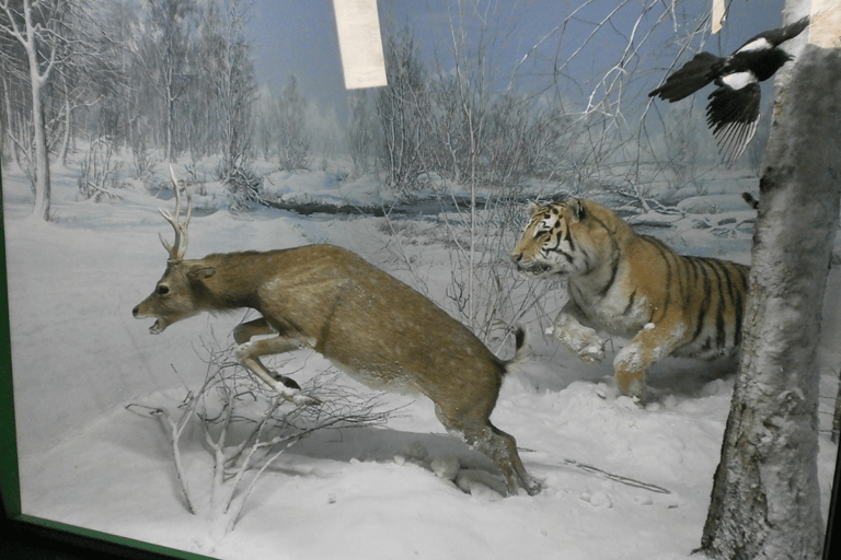 Milan: Natural History Museum Entry Ticket & Audio Guide