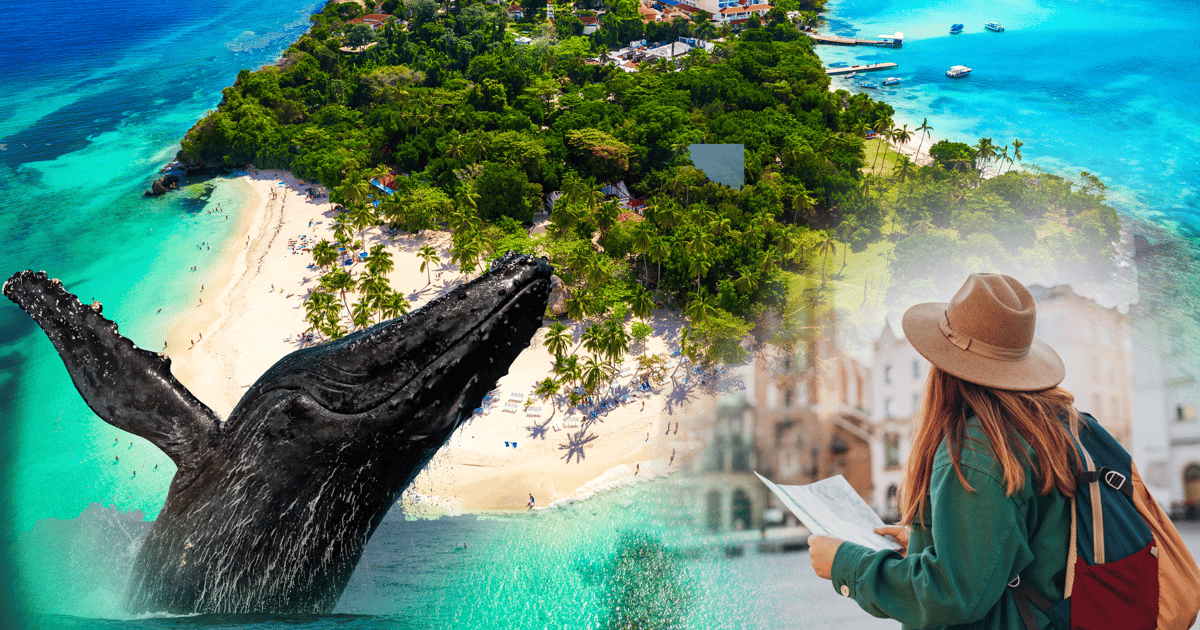 Samaná: City tour + observação de baleias + Cayo Levantado | GetYourGuide