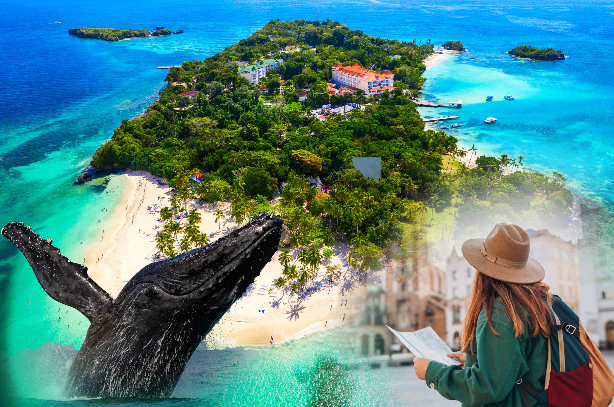 Whale Watching + Cayo Levantado