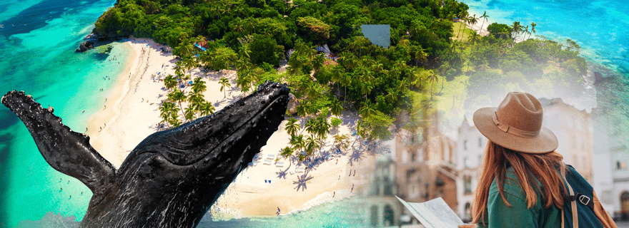 Observation des baleines + Cayo Levantado