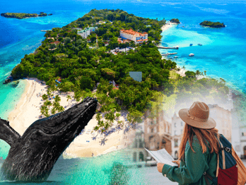 Samana: City Tour with Whale Watching & Cayo Levantado Stop