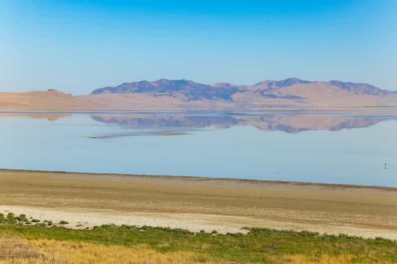 Salt Lake City: Great Salt Lake Antelope Island Guided Tour | GetYourGuide