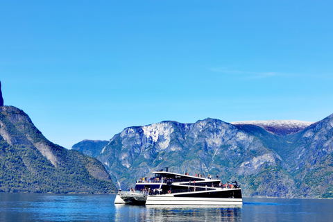 5day-tour Oslo-Nærøyfjord-Bergen-Hardanger-preikstolen