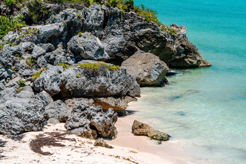 Tour di Tulum, cenote Casa Tortuga e Madre naturaleza 5 posti