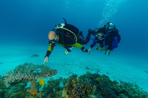 Hurghada: Duiken en snorkelen tour met transfersIntro duik