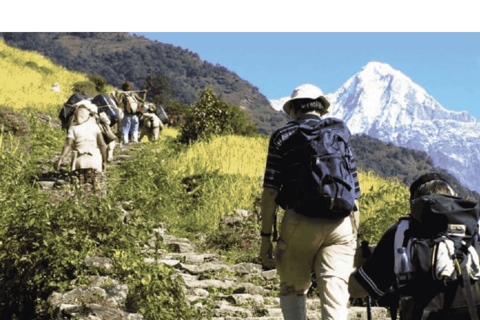 From Kathmandu: 7 Day Annapurna Base Camp Trek
