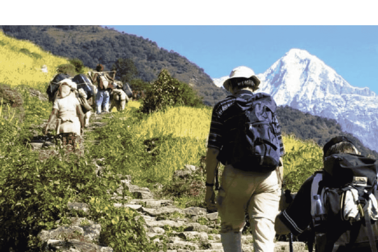 From Kathmandu: 7 Day Annapurna Base Camp Trek