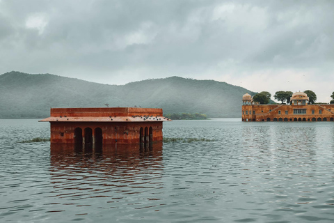 Jaipur: Excursão de meio dia ao Forte Amer, Jal Mahal e Stepwell