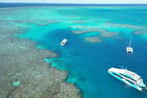 Townsville: Excursión de un día a la Gran Barrera de Coral y MOUA para hacer snorkel