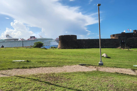 普拉塔港：从泰诺湾/安伯湾出发的猴子之旅和城市之旅普拉塔港：塔伊诺湾/安伯湾的猴子之旅和城市之旅