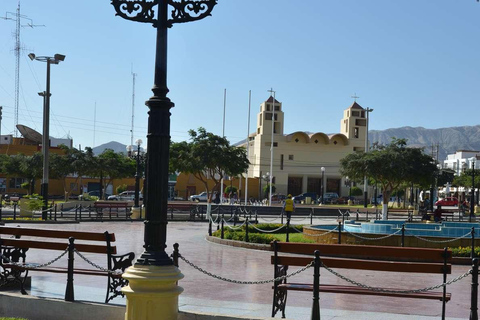 Excursion to San Fernando bay and Sandboarding in Nazca