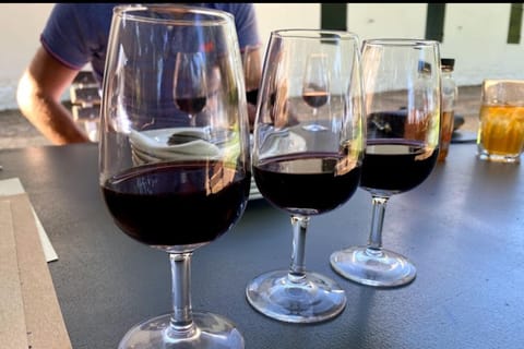 Cape Town: Signal Sunset and Wine Tasting