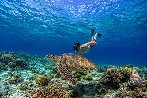 Private Boat Snorkeling Trip