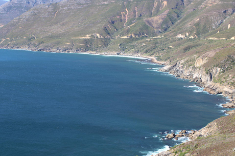 Cape Town: Table Mountain, Bo-Kaap, & Boulders Beach Tour