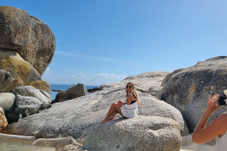 Luxury Cape of Good Hope & Penguin Tour