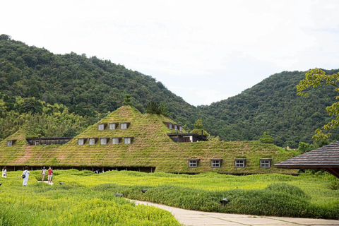 Lake Biwa & Omi Hachiman Day Tour from Osaka or Kyoto Departure from Osaka