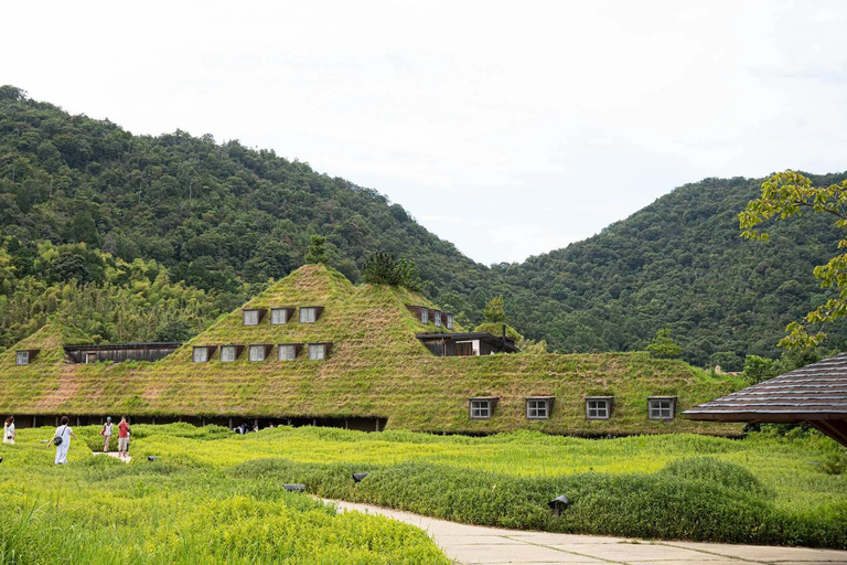 Lake Biwa & Omi Hachiman Day Tour from Osaka or Kyoto Departure from Osaka