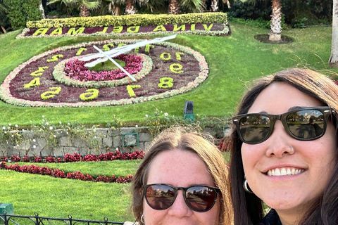 Valparaiso and Viña del Mar: Private Tour from Santiago