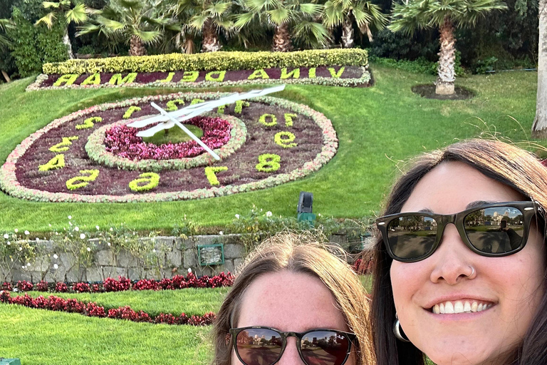 Valparaiso and Viña del Mar: Private Tour from Santiago