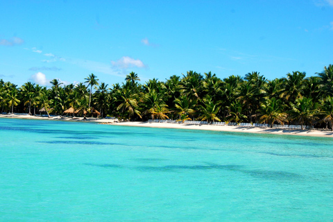 Saona Island Vip e Canto de la Playa: de Bayahibe