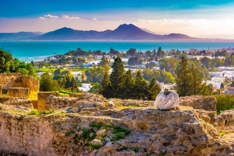 Tunis: Medina, Carthage, and Sidi Bou Saïd Tour