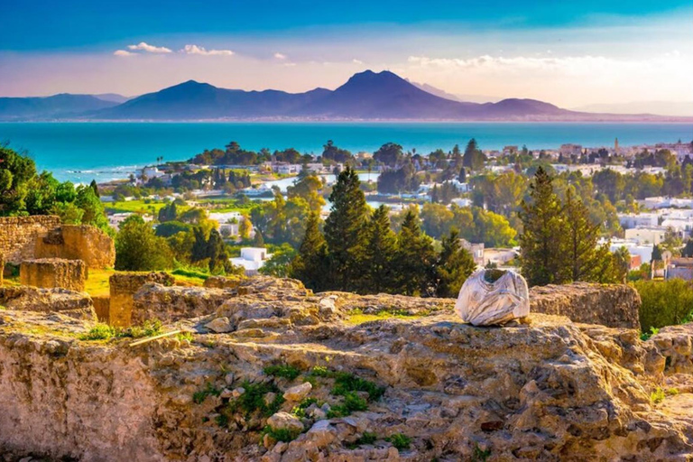 Tunis: Medina, Carthage, and Sidi Bou Saïd Tour