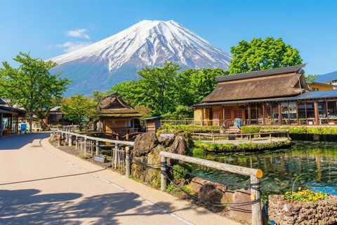 Mt. Fuji & Hakone Tour: Arakurayama, OshinoHakkai, Owakudani Tokyo Station | 7:30 AM Departure with English Guide