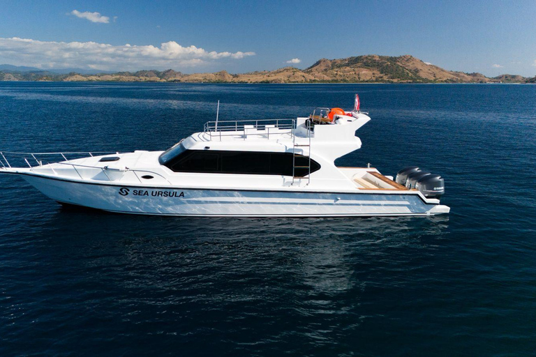Labuan Bajo: Komodo National Park Day Trip by Speedboat