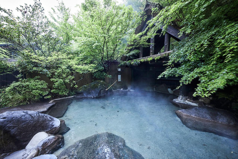 Fukuoka : Excursion d&#039;une journée au volcan Aso, aux onsen et au château de Kumamoto