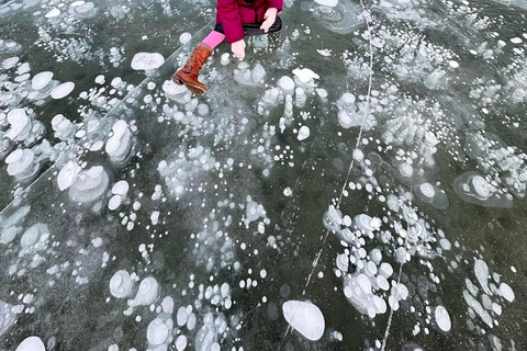 Banff: Banff &amp; Yoho National Park Lakes and Gondola Tour