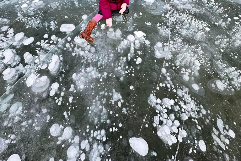 Banff: Banff &amp; Yoho National Park Lakes and Gondola Tour