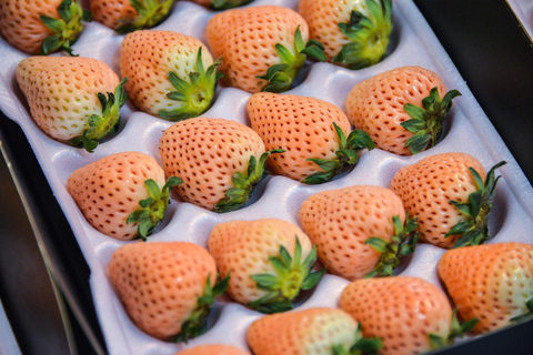 Tokyo : Tsukiji Fish Market Food Walking & Shrine Visit Tour